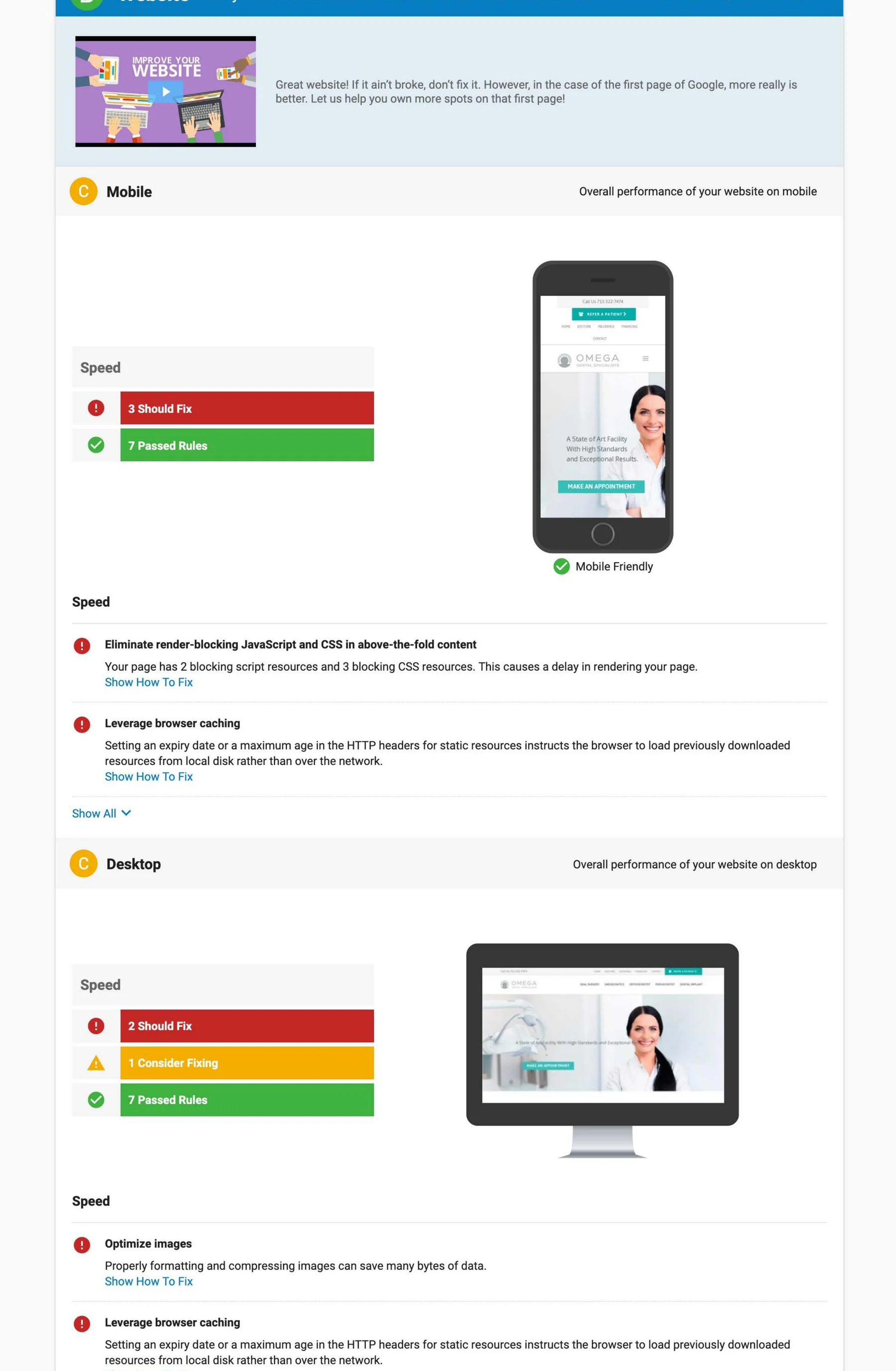Sample Snapshot Report mobile and desktop website performance analysis